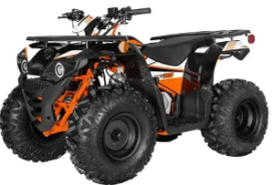 2024 Kayo Predator 125