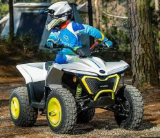 2024 CFMOTO CFORCE EV110