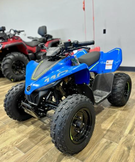 2024 CFMOTO CFORCE 110