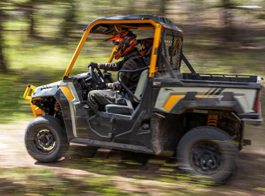2024 Arctic Cat Prowler Pro LTD
