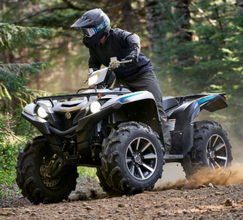 2024 Yamaha Grizzly EPS SE