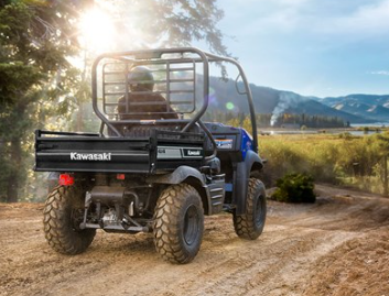 2025 Kawasaki Mule™ PRO-FXT™ 1000 LE