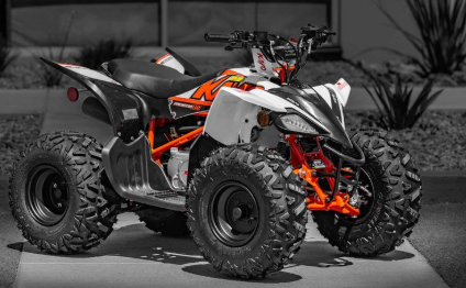 2025 Kayo Predator 110