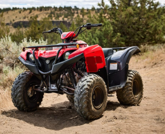2025 Yamaha Grizzly 110