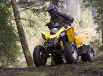 2025 Can-Am DS 250