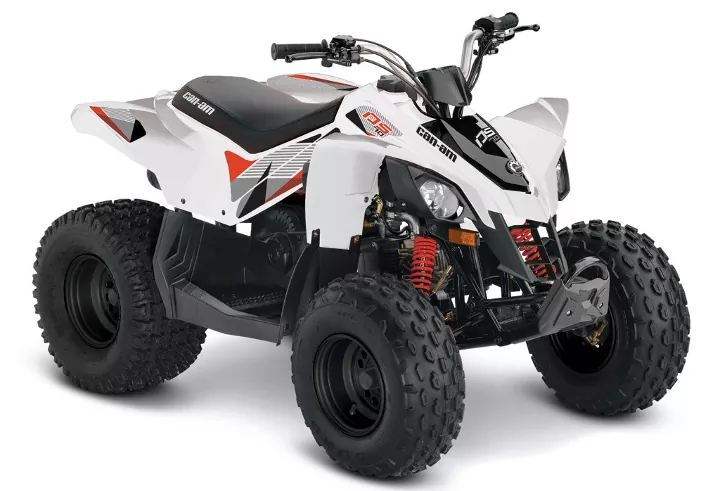 2018 Can-Am DS 250