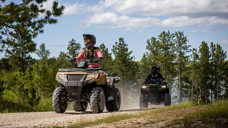 2021 Arctic Cat Alterra 300 2×4
