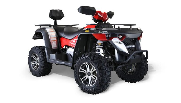 2021 Bennche Gray Wolf 550L
