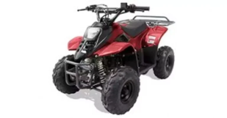 2021 Bennche Hawk 110