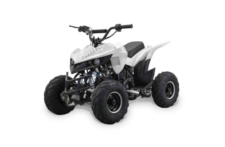 2022 Bennche Hawk 110