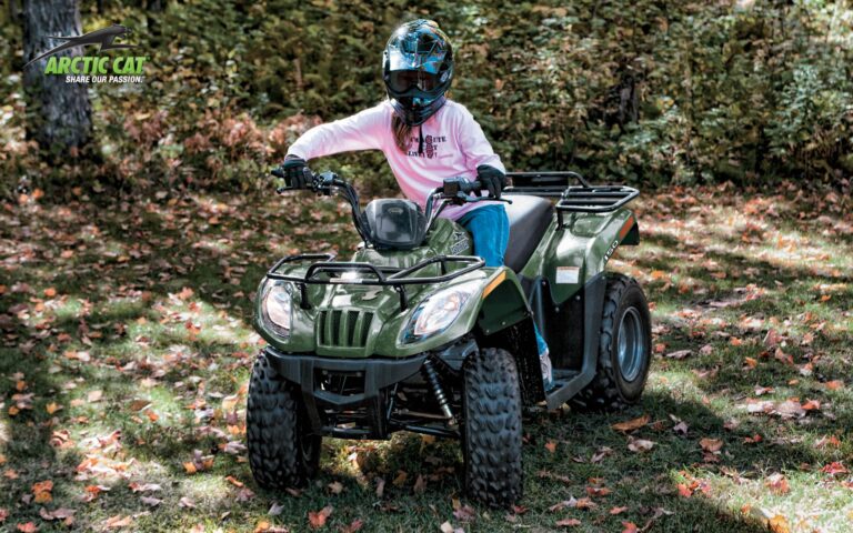 2013 Arctic Cat 150 2×4