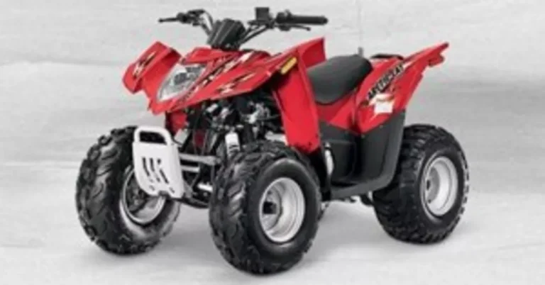 2013 Arctic Cat 90 DVX