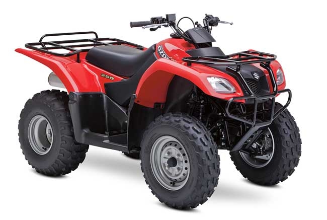 2013 Suzuki Ozark 250