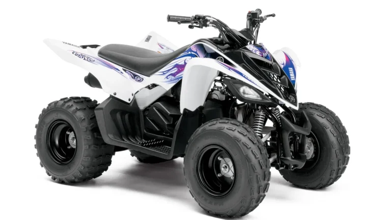 2013 Yamaha Raptor 90