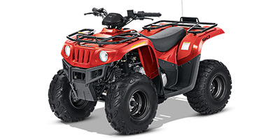 2014 Arctic Cat 90 2×4