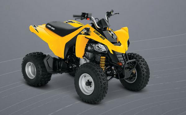 2014 Can-Am DS 250