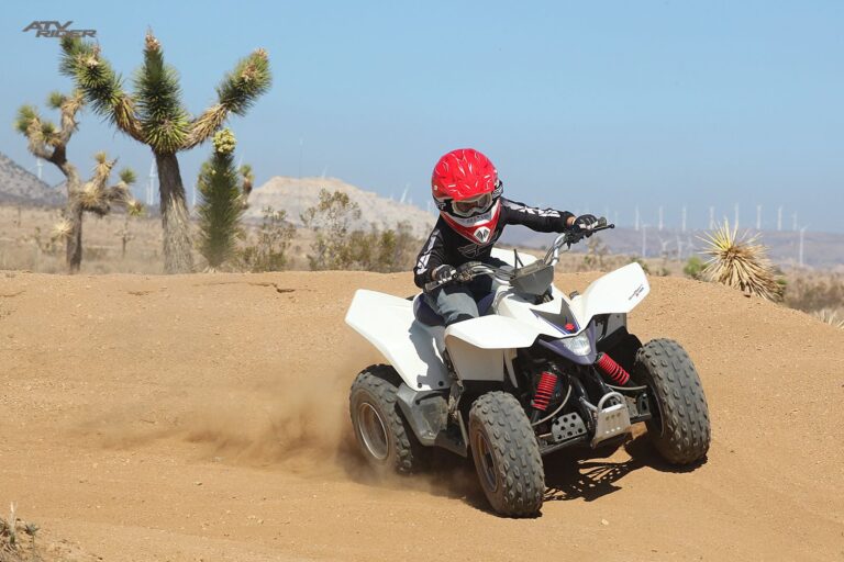 2014 Suzuki QuadSport® Z90