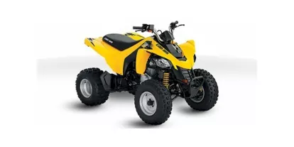 2015 Can-Am DS 250