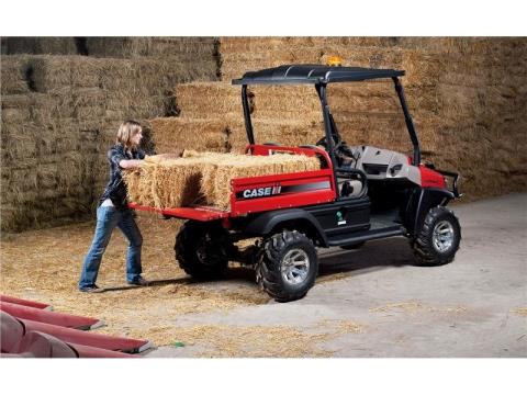2015 Case IH Scout™ XL Gas 2-Passenger
