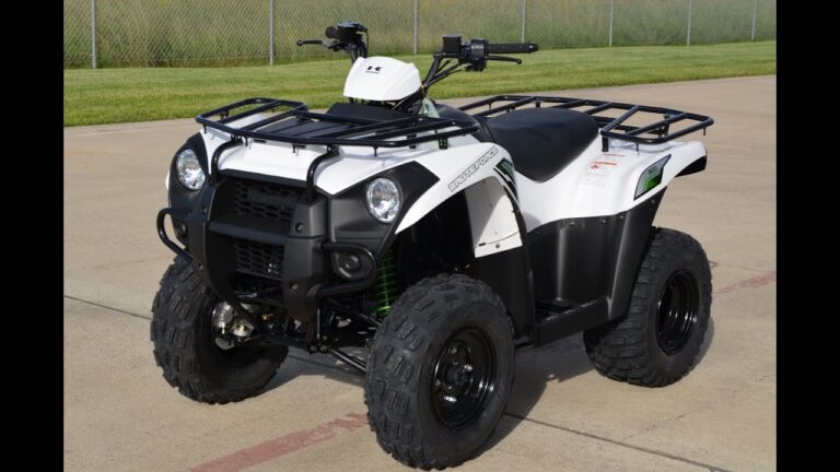 2015 Kawasaki Brute Force® 300