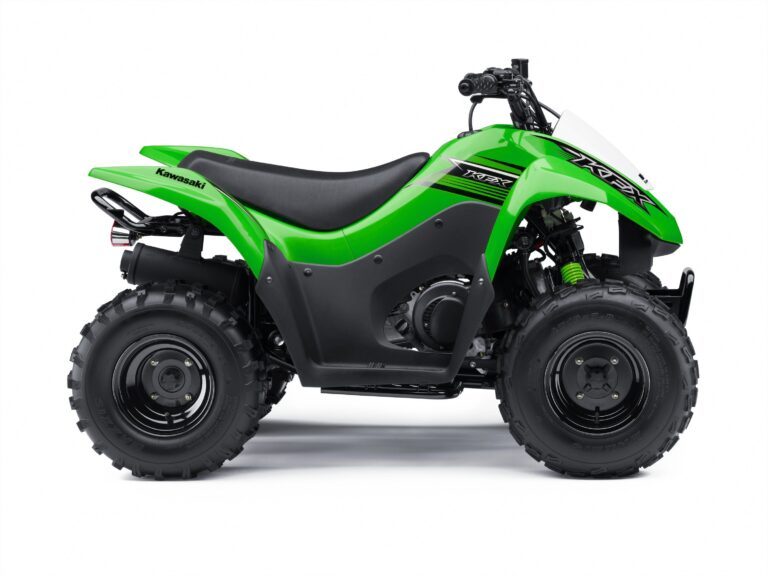2015 Kawasaki KFX® 90