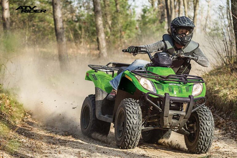 2016 Arctic Cat 300 2×4