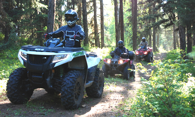 2016 Arctic Cat Alterra 700 XT