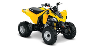 2016 Can-Am DS 250