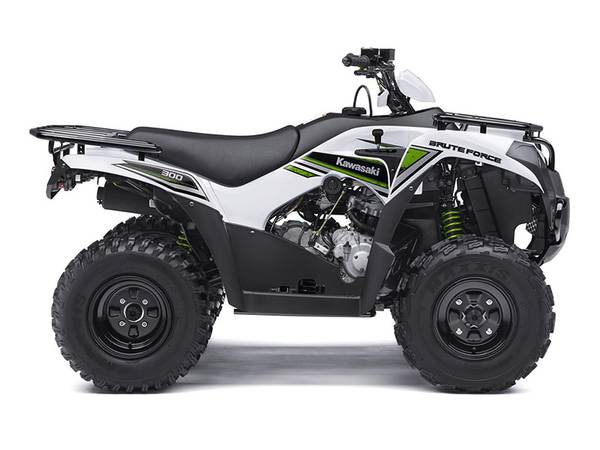 2016 Kawasaki Brute Force® 300
