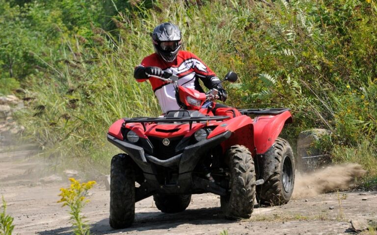 2016 Yamaha Grizzly EPS