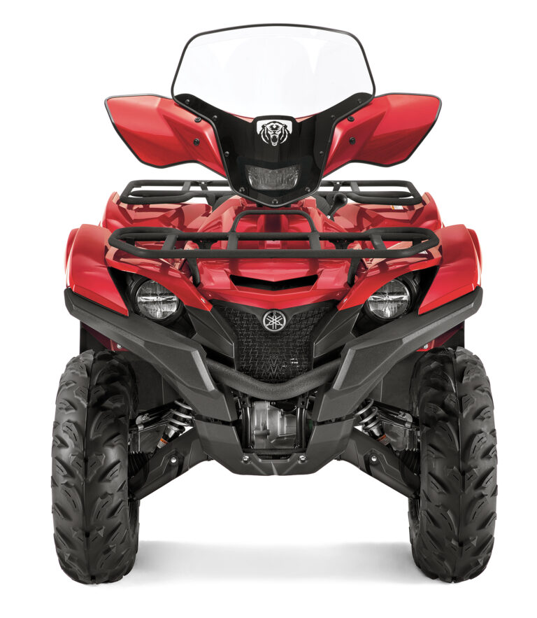 2016 Yamaha Grizzly EPS LE