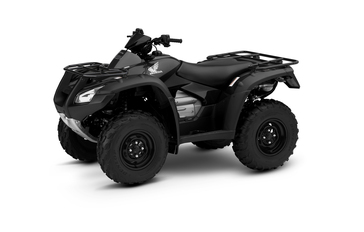 2017 Honda FourTrax Rincon®