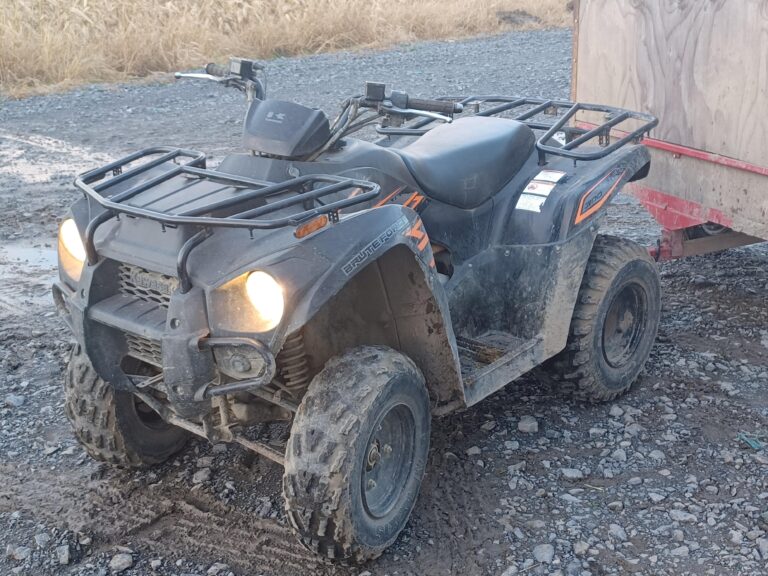 2017 Kawasaki Brute Force® 300