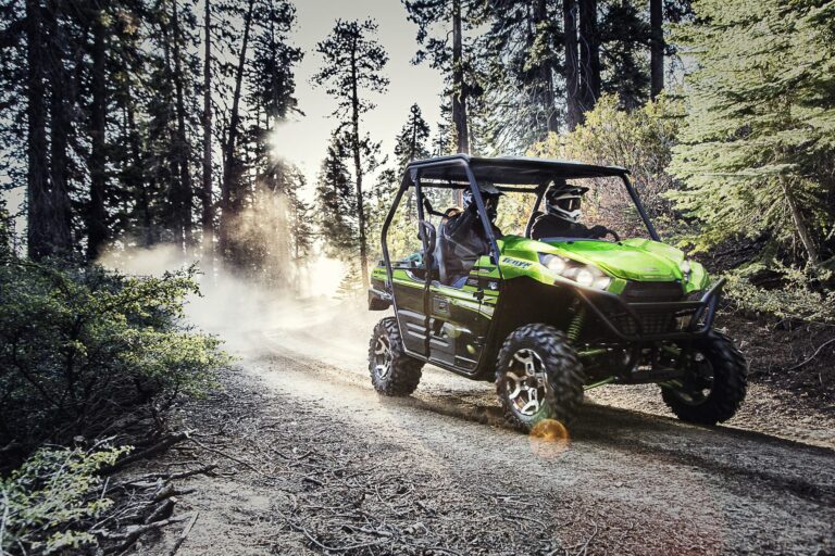 2017 Kawasaki Teryx® LE