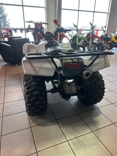 2018 Honda FourTrax Recon® ES