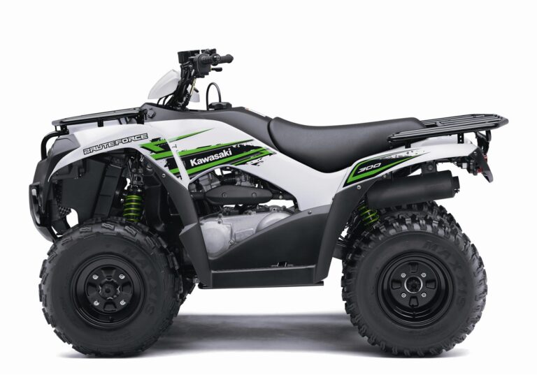 2018 Kawasaki Brute Force® 300