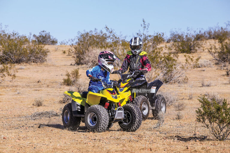 2018 Suzuki QuadSport® Z50
