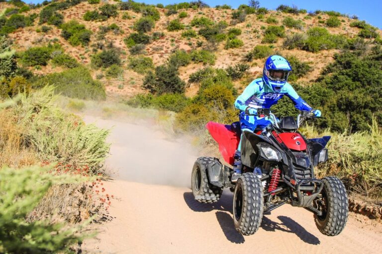 2020 Can-Am DS 250