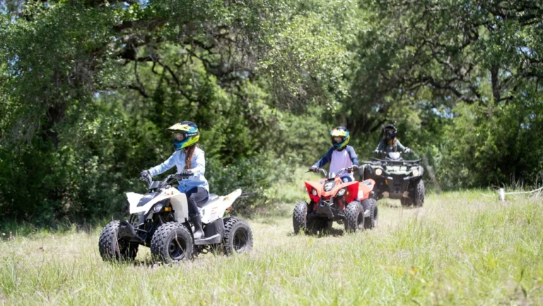 2020 Can-Am DS 90