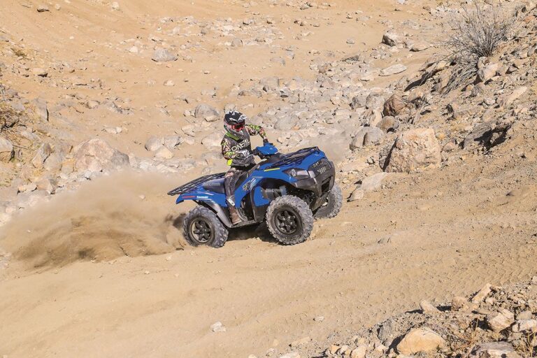2020 Kawasaki Brute Force® 750 4x4i