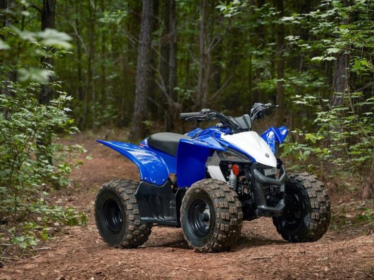 2020 Yamaha YFZ 50