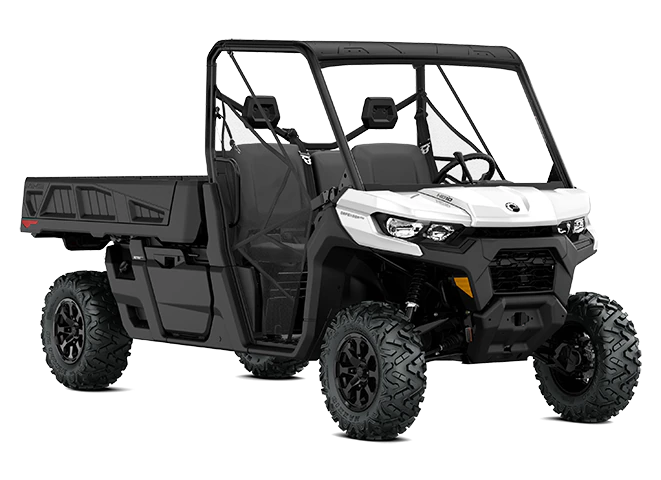 2022 Can-Am Defender DPS HD10