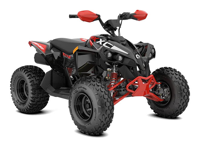 2023 Can-Am Renegade 110 EFI