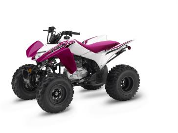 2023 Honda TRX® 250X