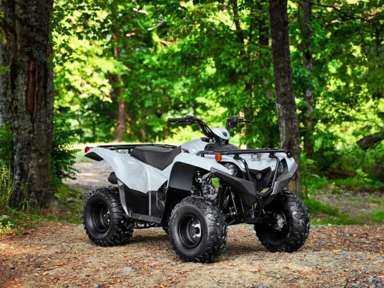 2023 Yamaha Grizzly 90